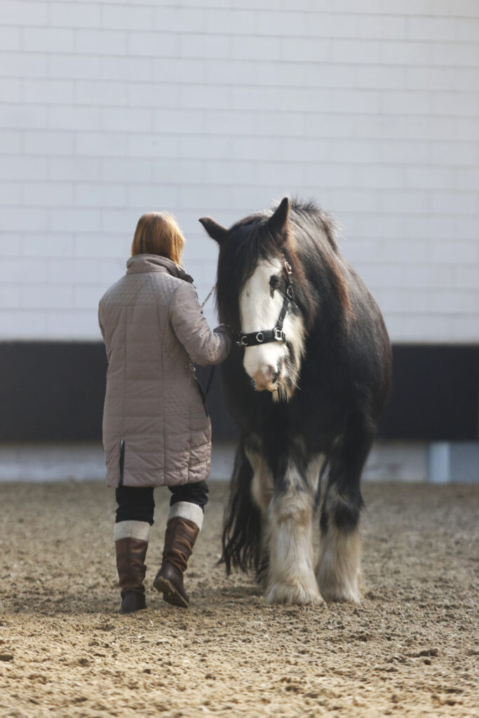 Marieke en Jameson - meerpaard